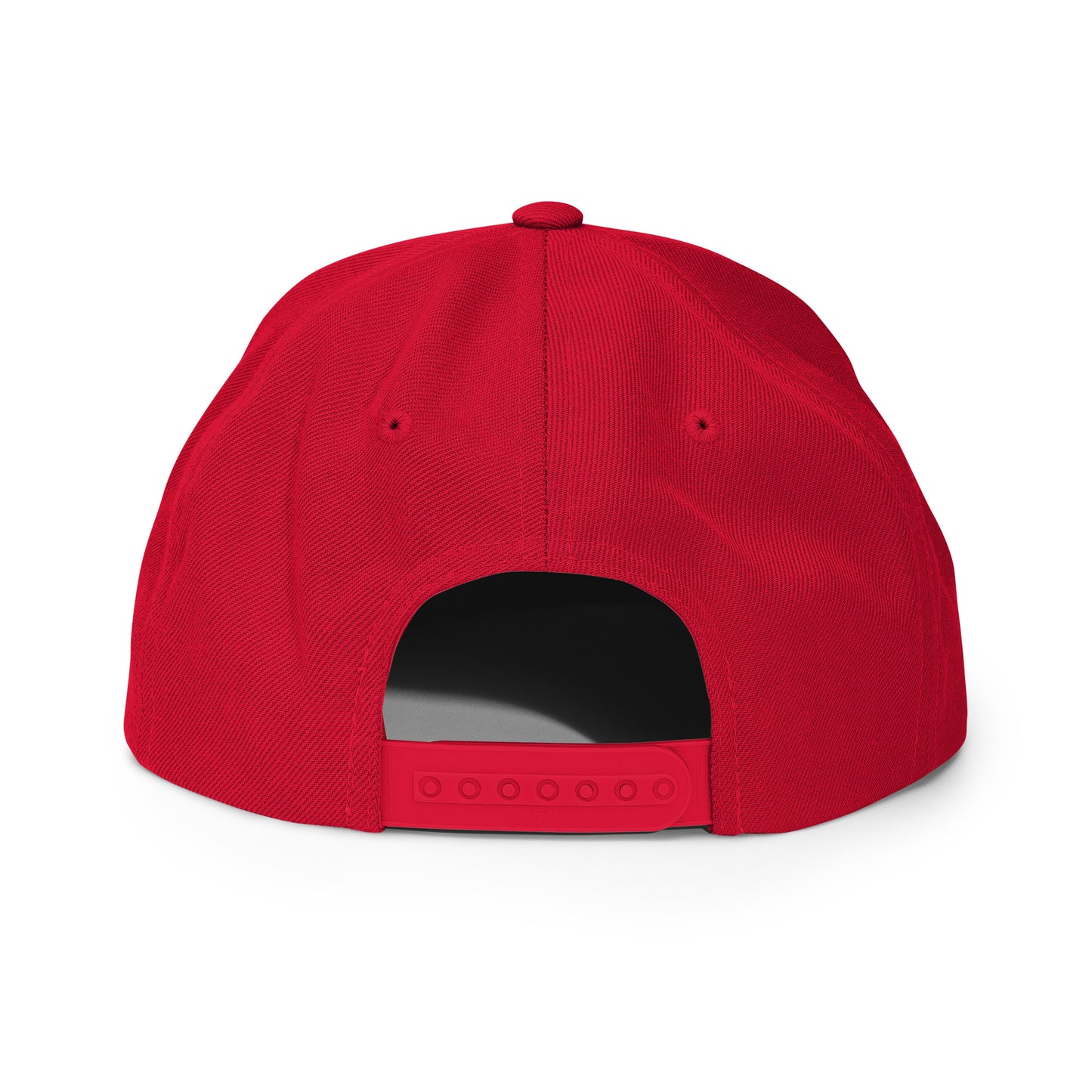 Casquette Snapback Twig Flatbrim